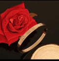 Gold Plated Stainless Steel Bangle Bracelet